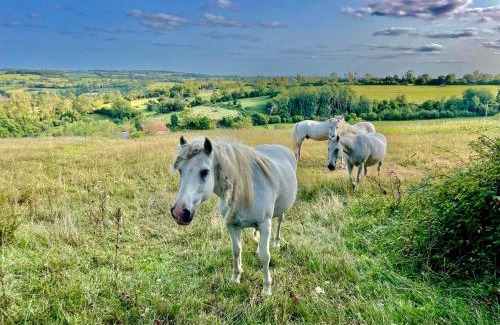 Les Champeaux Casa | Séjour à la campagne près de Camembert dans le bocage normand