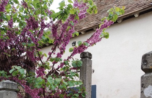 Thorigne-sur-Due Casa | Séjour Détente: Massage, Réflexologie , Jacuzzi