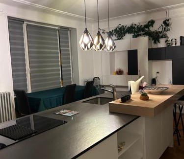 Thann Apartamento | Séjour entre ville et montagnes Appartement 100m2