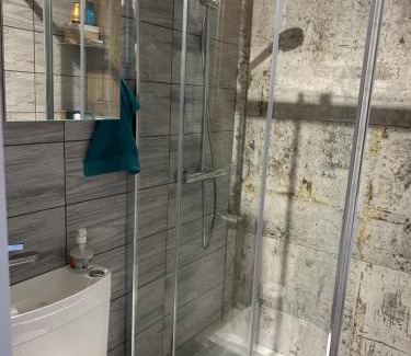 Thann Apartamento | Séjour entre ville et montagnes Appartement 100m2