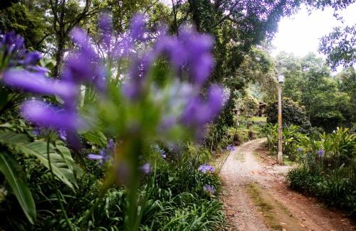 Joanopolis Casa | Sítio Bela Vista: natureza, paz e aconchego.