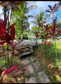 Guapimirim Otro | Sítio novo paraíso