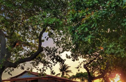 Coqueiral Casa | Sítio SPA Céu De Verdade , Praia de Barra Nova , Ceará