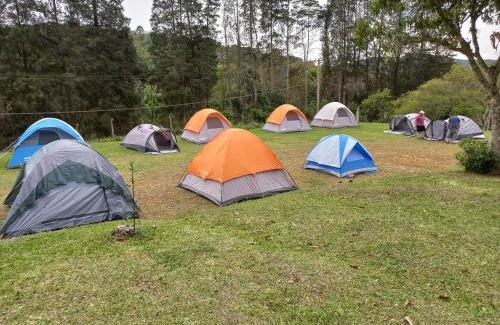 Sao Roque Casa | Sítio Toa Toa