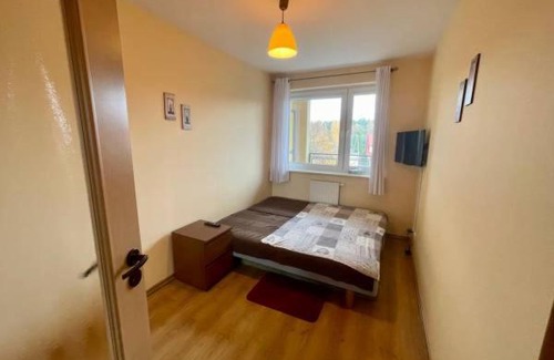 Stegna Apartamento | Słoneczny Apartament