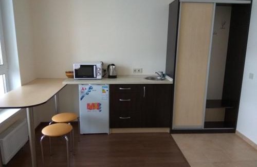 Pozniaky Apartamento | S&M Apartments - Zarichna
