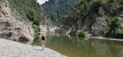 Seulo Casa | S'orrosa casa vacanze bifamiliare in montagna panorama stupendo Sardegna
