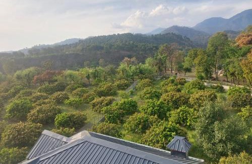 Dharamshala Casa | S R Homestay