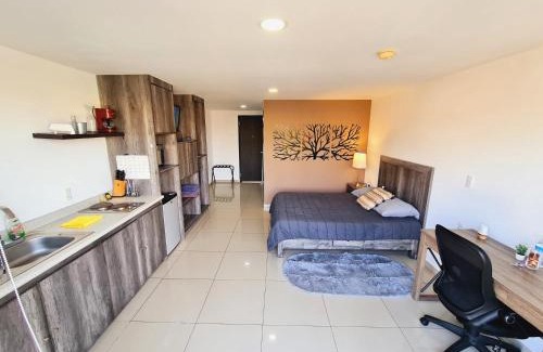 Ciudad López Mateos Apartamento | S02 SUITE para 1 A 2 PAX Premium Suite Frente al TEC CEM con Cocineta WiFi Balcón Parking Terraza