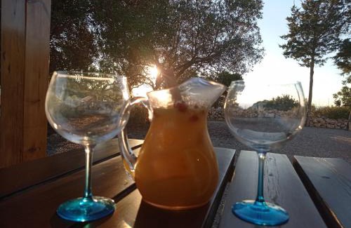 Sant Josep de sa Talaia Casa | Sa Vinya Casa de Campo
