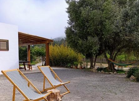 Sant Josep de sa Talaia Casa | Sa Vinya Casa de Campo