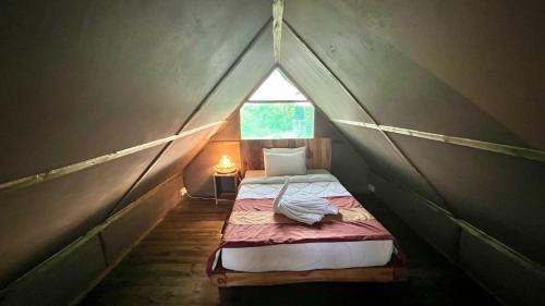Saadani Otro | Saadani Beach Camp