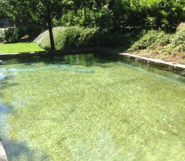 Arouca Casa | SaberAmar Little Country