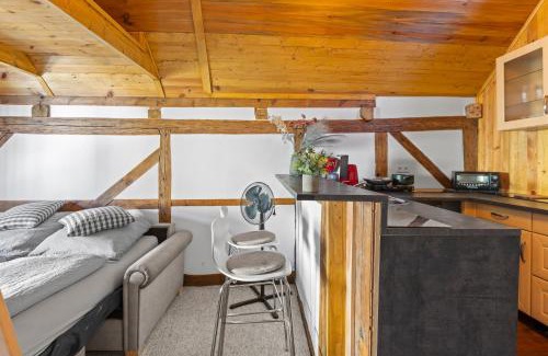 Trebbin Apartamento | Sabina Mounteurwohnung Dachboden I 55 Zoll TV I Schlafcouch mit 20cm Matraze 2 weitere Schlafplätze I Küche I Bad