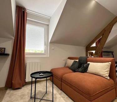 Rodez Apartamento | /Sacré studio/Parking privé/Wifi