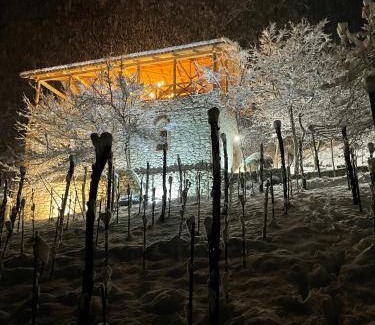 Ambrolauri Hotel | Sad Meli Wines