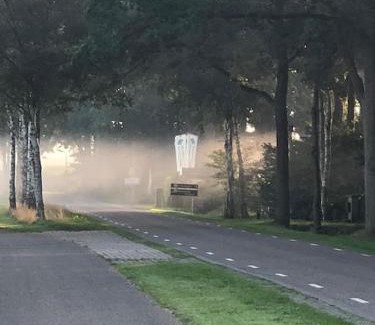 Diffelen Casa | Saevis tranquillus in undis in de IJsvogel