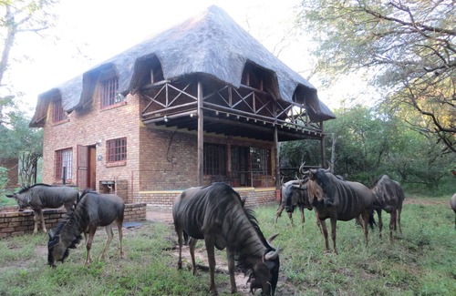 Marloth Park Casa | Safari en y desde tu plataforma de observación privada. ¡Disfruta del monte en perfecta privacidad!