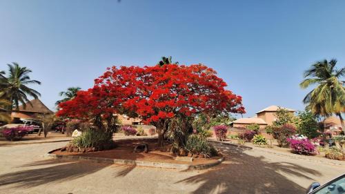 Saly Casa | Safari Village - Case73