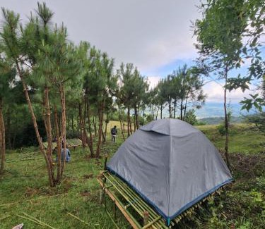 Jakrem Casa | Safarnama Homestay Camping Markham Meghalaya