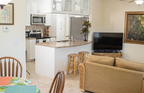 Safety Harbor Casa | Safety Harbor - Tropical Oasis