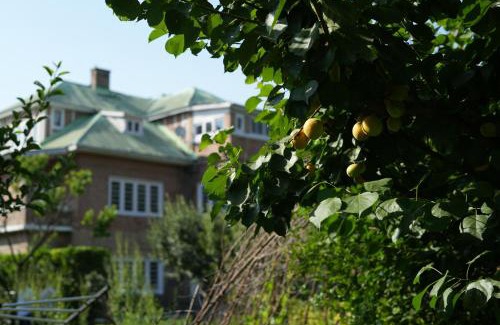 Srinagar Casa | SaffronStays Awakening Deluxe Rooms