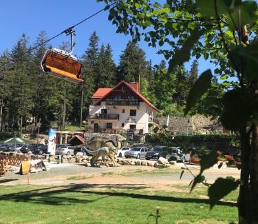 Bierutowice Cama Y Desayuno | Safir przy samym WYCIĄGU