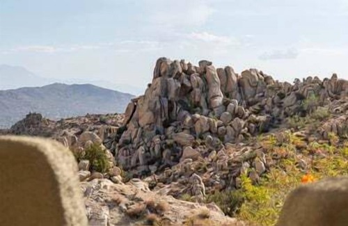 Yucca Valley Casa | Saguaro Ridge by Fieldtrip | Palm Tree Oasis | Pool & Yoga Deck