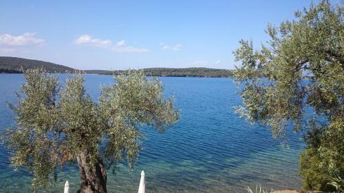 Milina Casa | Saint Andrews Bay