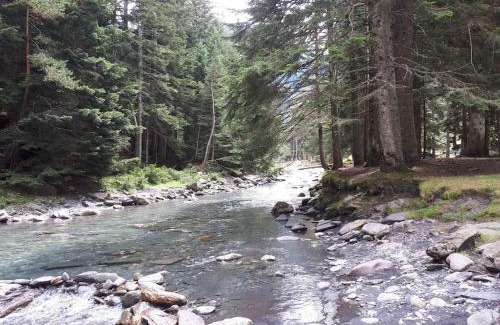 Pla d'Adet Apartamento | Saint lary soulan pied des pistes du Plat d Adet