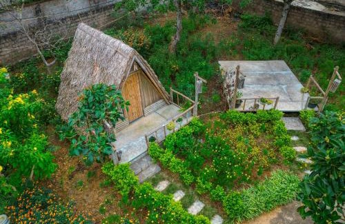 Moc Chau Casa | SAKURA House - Hoa Ban