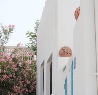 Muscat Casa | Salaam Space