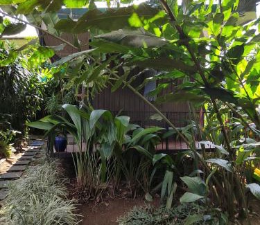 Jiménez Casa | Salamandra Costa Rica
