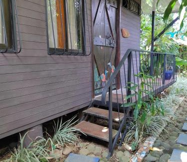 Jiménez Casa | Salamandra Costa Rica