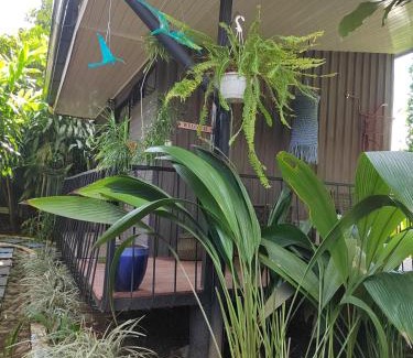 Jiménez Casa | Salamandra Costa Rica