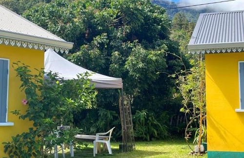 Salazie Casa | Salaz' et sens - Ravintsara