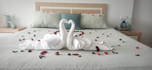 Tacoronte Apartamento | Salitre Suite