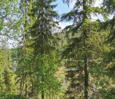 Rukatunturi Casa | Salmikangas G4