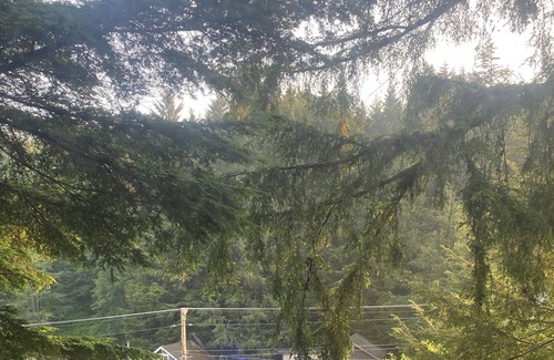 Ketchikan Cabina | Salmon creek cabin