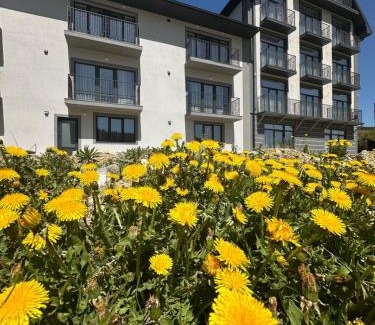 Bukovel Hotel | Salut