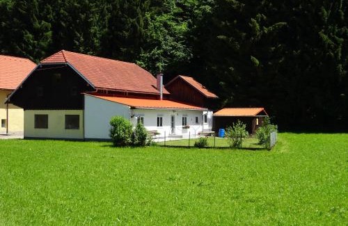 Pinsdorf Casa | Salzkammergut Homes Gmunden - Haus im Grünen, Ruhe, großer eingezäunter Garten - ideal für Familien und Hunde