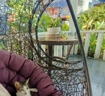 Koh Rong Sanloem Casa | Sam's Guesthouse M'Pai Bay