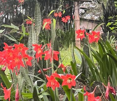 Comuna San José Hotel | Samai Lodge Holistic Living