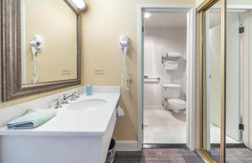 Cow Hollow Hostal | Samesun San Francisco