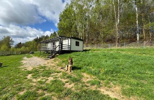 Gietrzwald Casa | Samotnia Biesalska