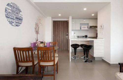 Coyoacán Apartamento | San Ángel - UNAM apartment 2parking 3BR 2BA