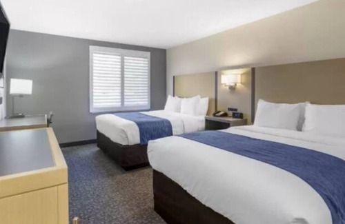 Miramar Casa | "SAN DIEGO!! Everyone can have fun there!! Let Go, Enjoy!!