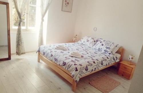 City Center Casa | San Eleuterio Guesthouse