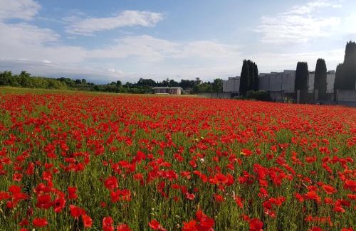 Pieve Vecchia Apartamento | san felice