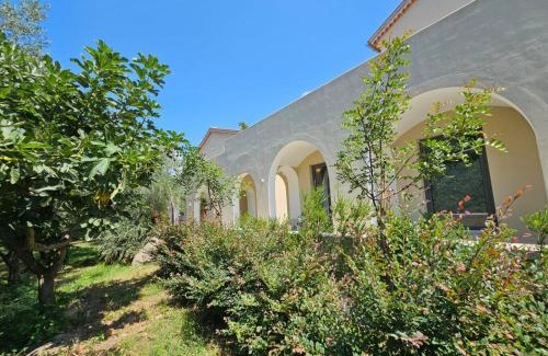 Vallo della Lucania Cama Y Desayuno | San Filadelfo